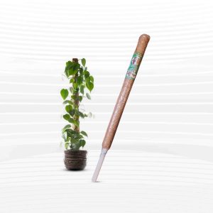 35 Inch Coir Grow Stick - 1Pcs